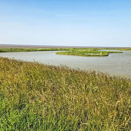 De Wieringerheid 164 By Interhome Prázdninový dům *