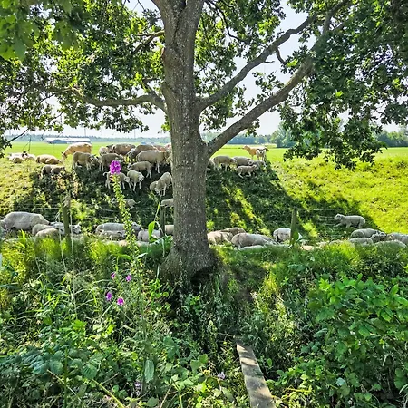 De Wieringerheid 164 By Interhome Prázdninový dům Den Oever