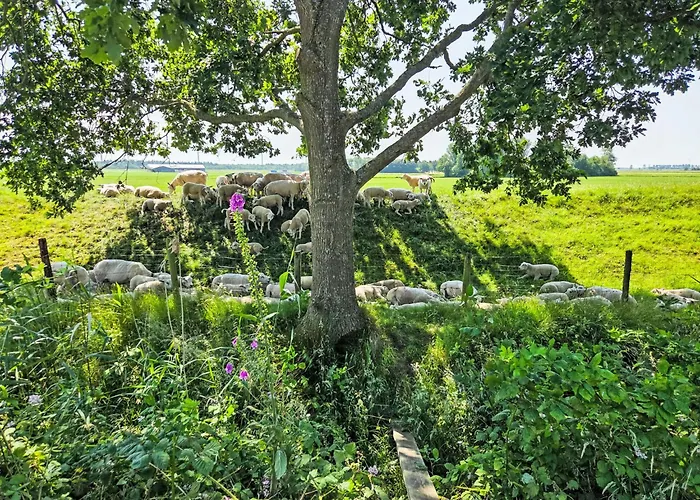 De Wieringerheid 164 By Interhome 펜션 덴오에버