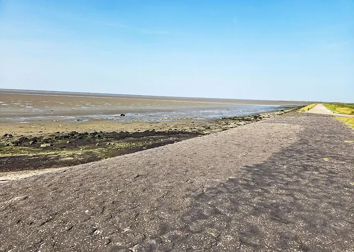 펜션 De Wieringerheid 164 By Interhome 덴오에버